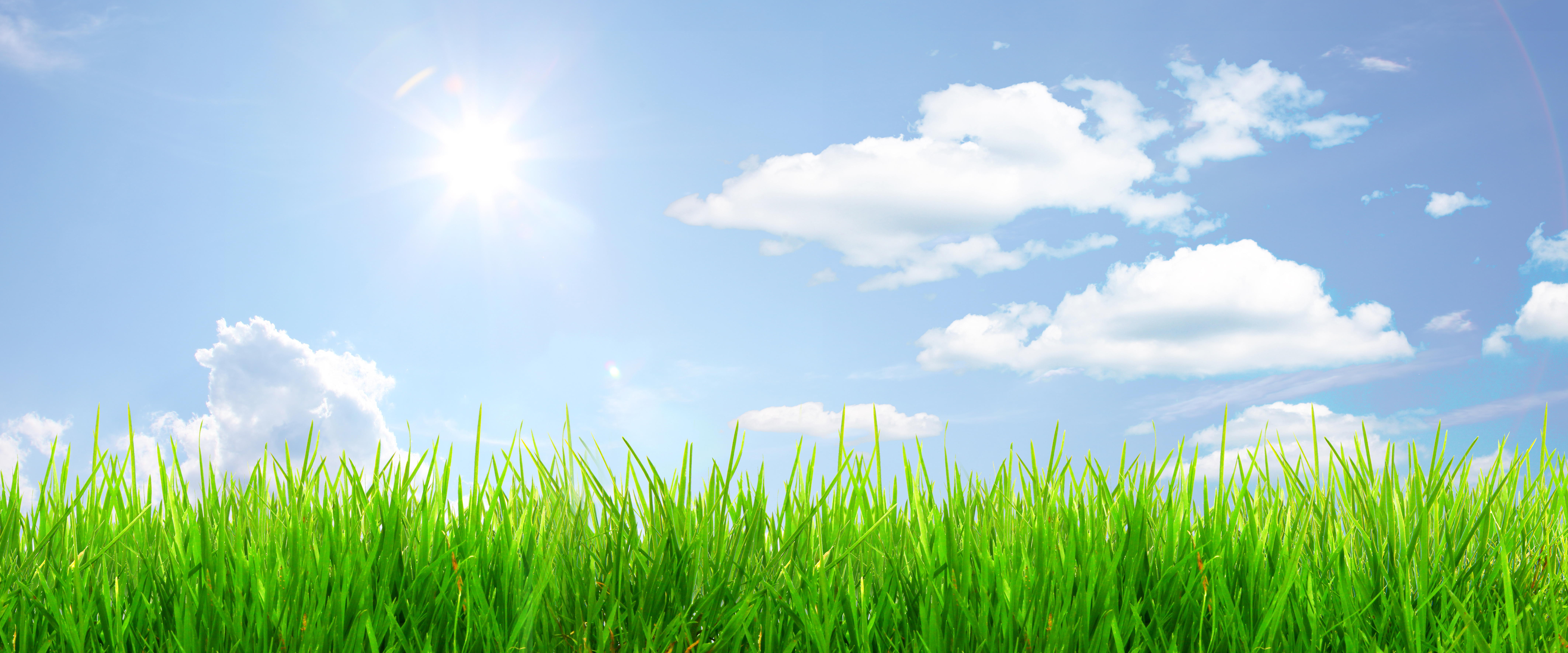 除草するイメージ画像